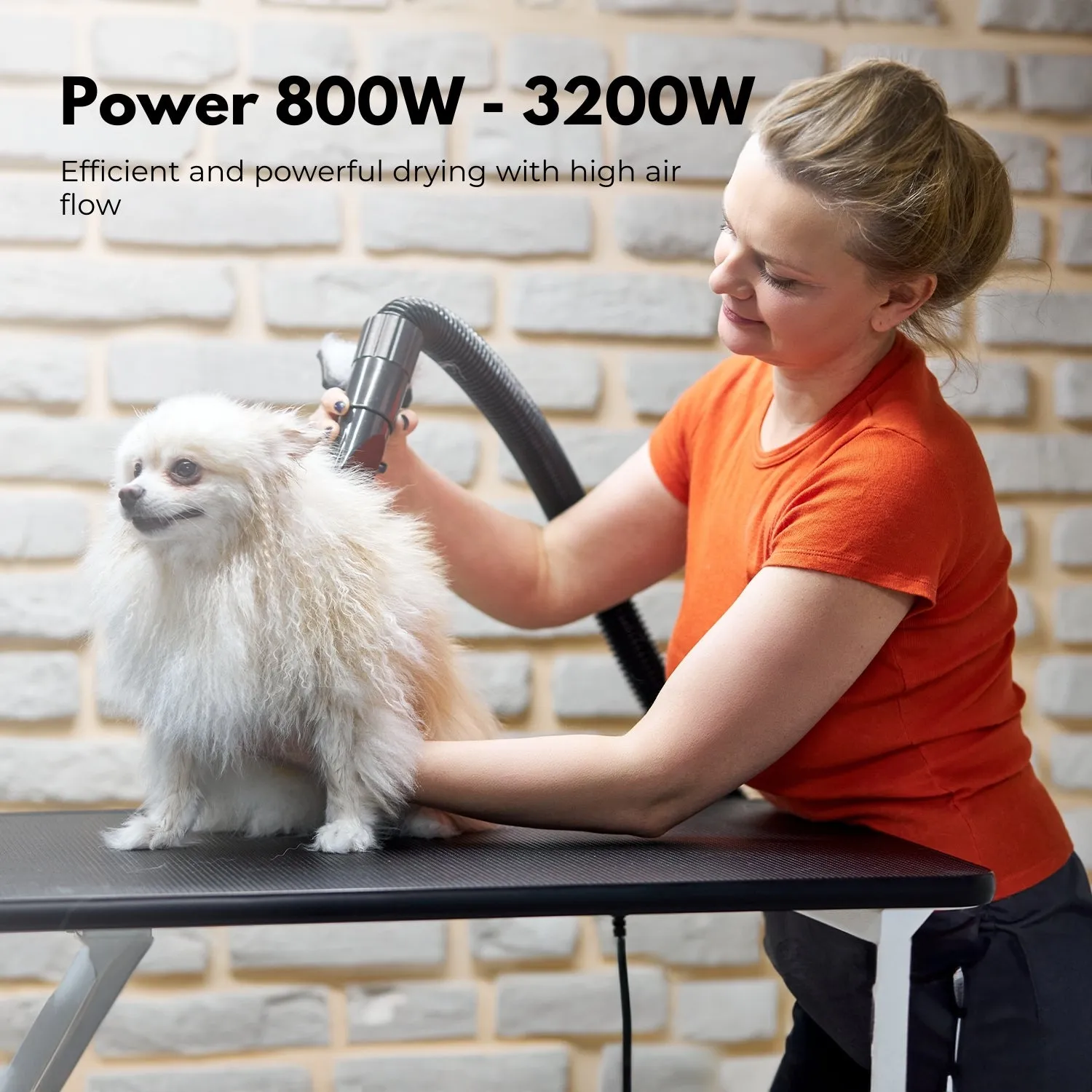 Adjustable Temp Pet Hair Dryer, 6-Speed LCD - Floofi