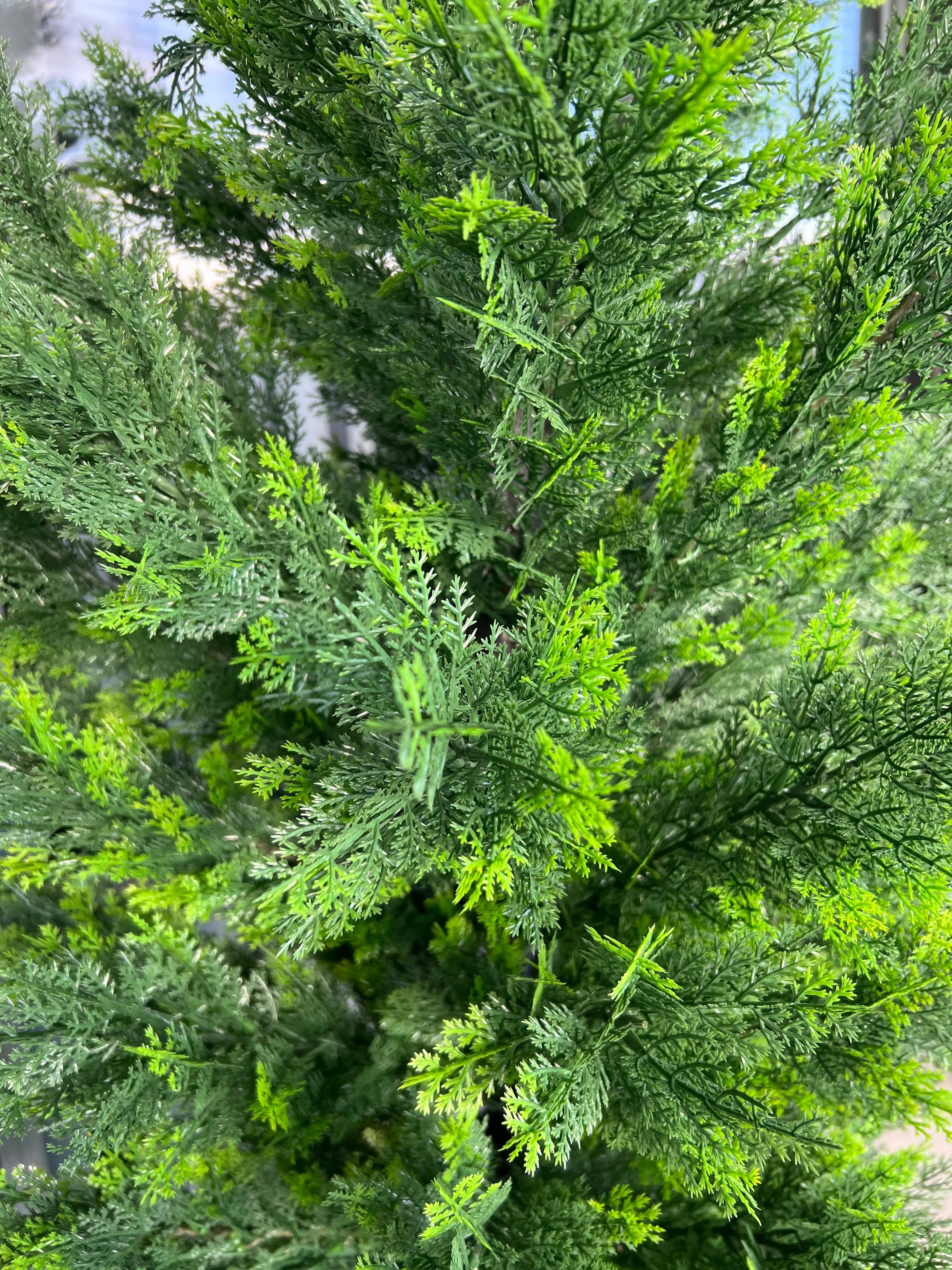 Artificial cedar tree with UV resistance -6’