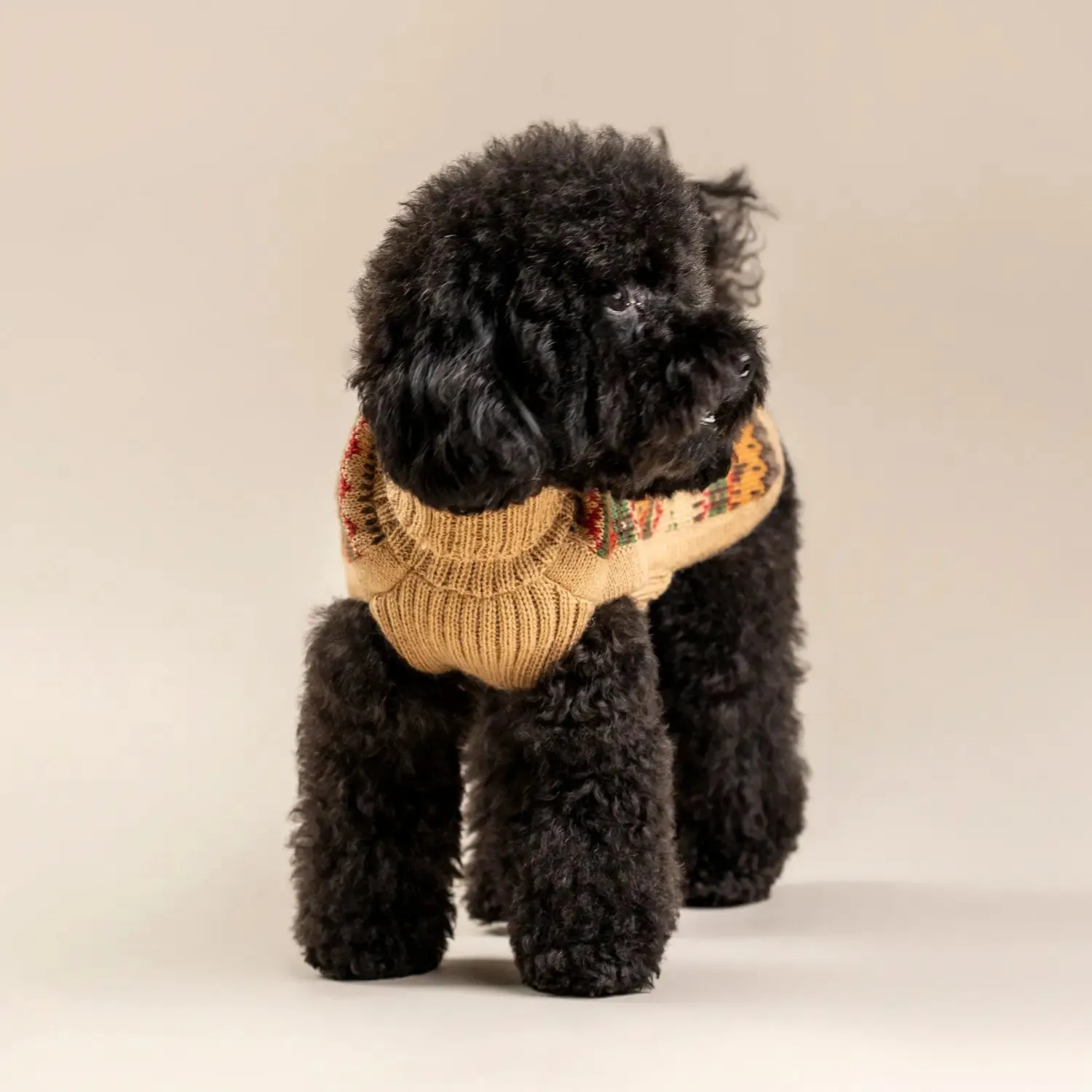 Fair Isle Tan Alpaca Dog Sweater