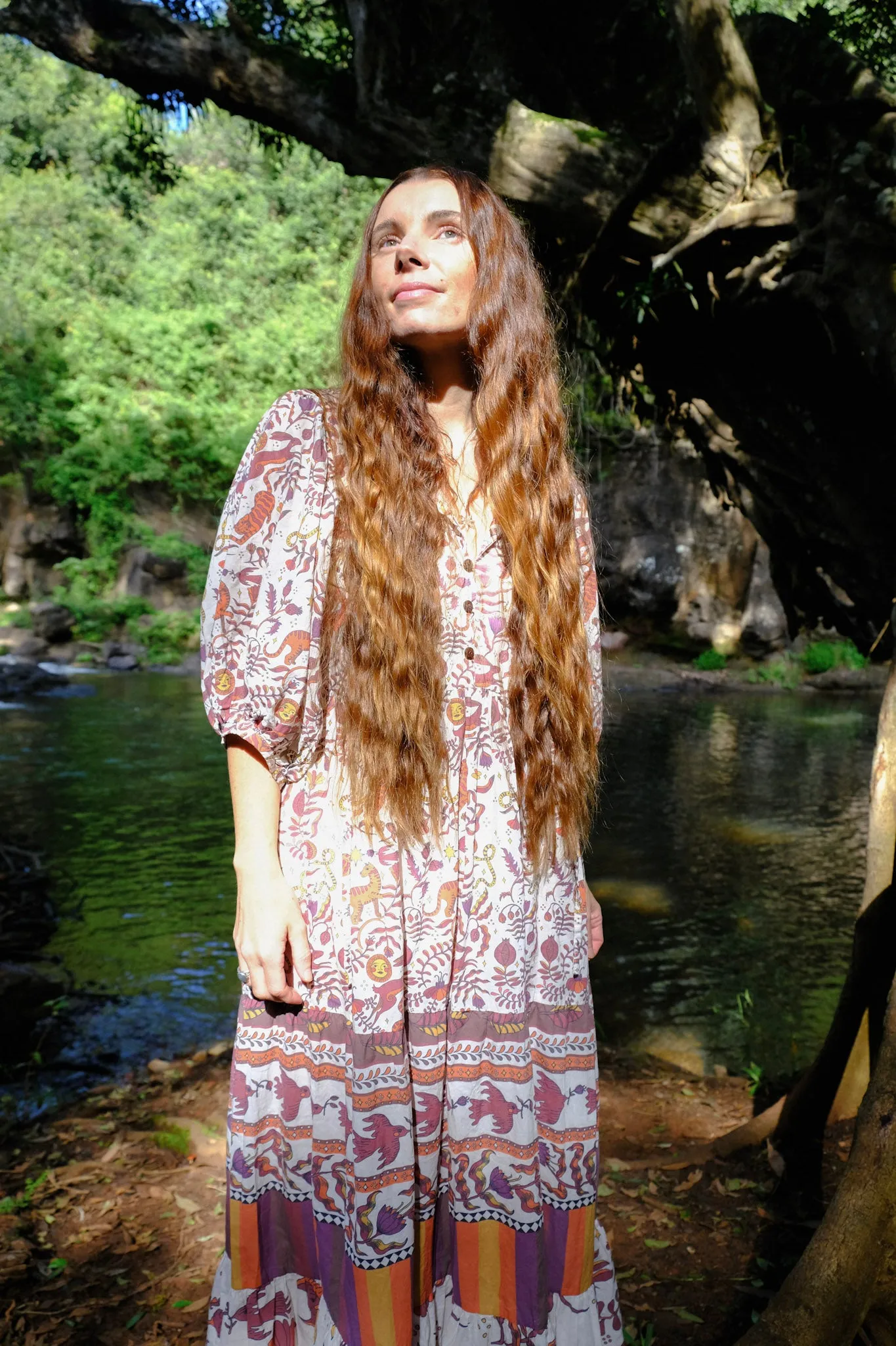 Frida Maxi Dress - Winter Mythic - Autumn Brown