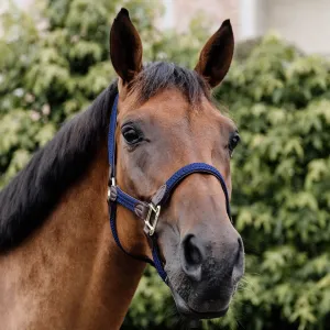 Kentucky Horsewear Plaited Nylon Headcollar - Navy