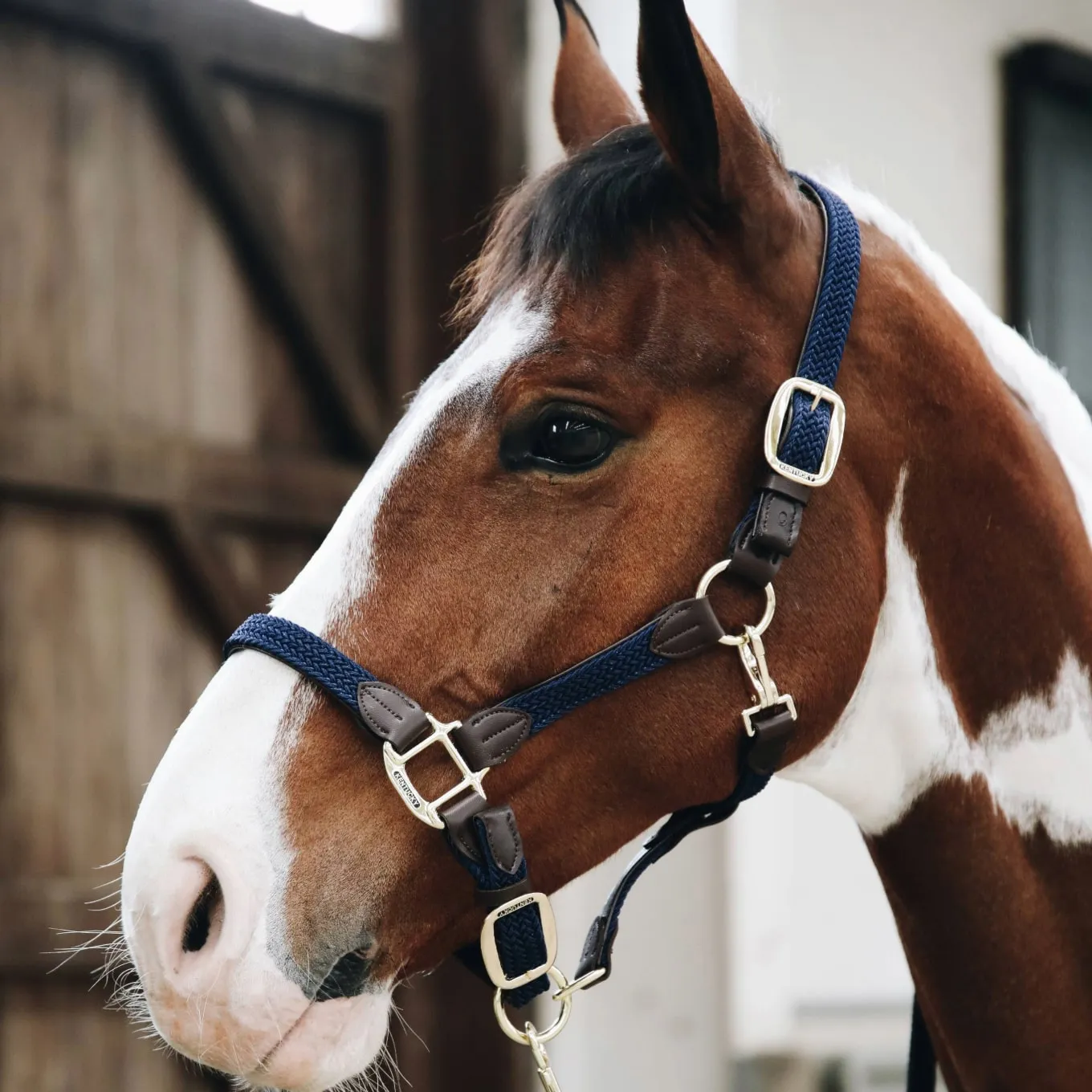 Kentucky Horsewear Plaited Nylon Headcollar - Navy