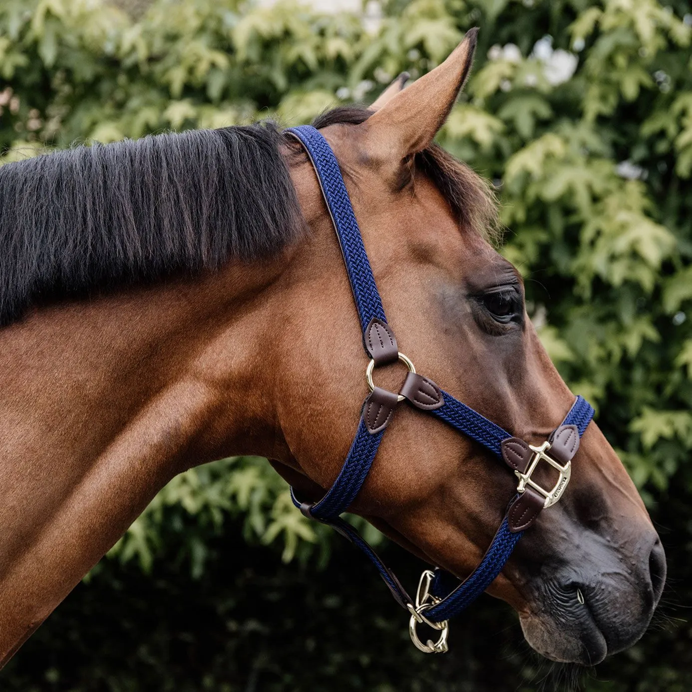 Kentucky Horsewear Plaited Nylon Headcollar - Navy