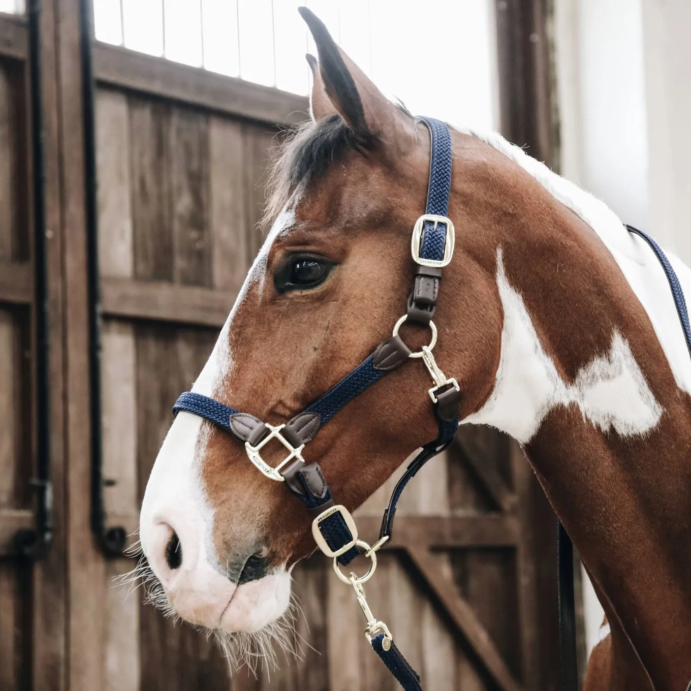 Kentucky Horsewear Plaited Nylon Headcollar - Navy