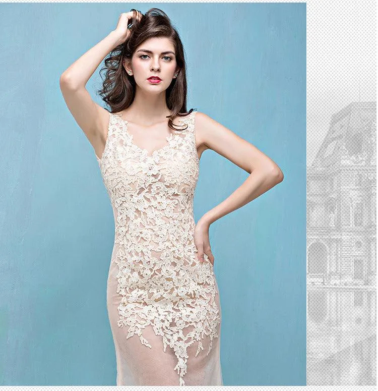 Lace Transparent Mermaid Evening Dress