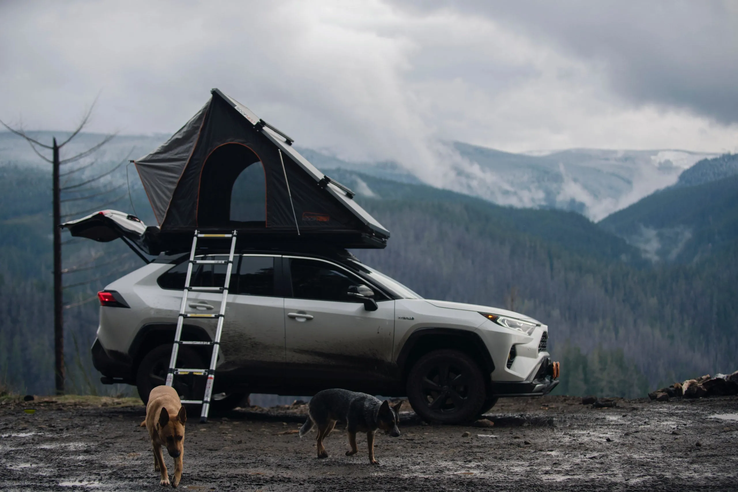 Prinsu Roof Rack | 2019  Toyota RAV4