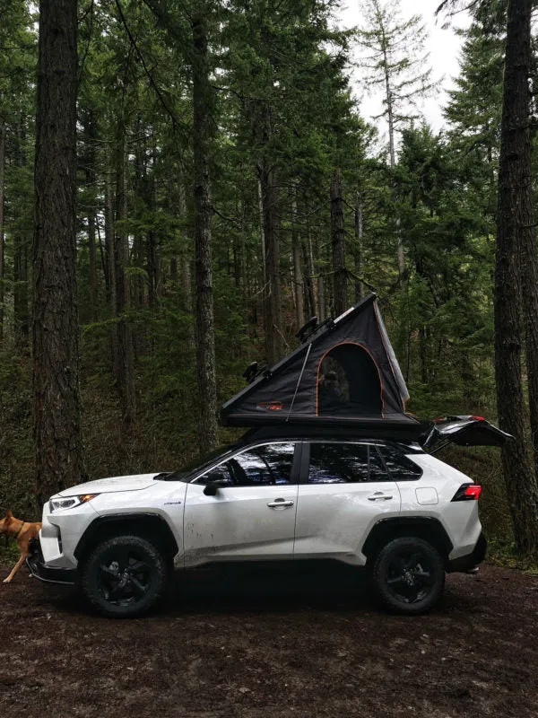 Prinsu Roof Rack | 2019  Toyota RAV4